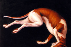 Scott Goodwillie: Tumbling-Dog